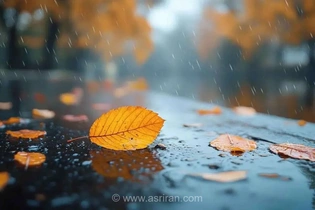 پاییز گرم و پربارش؛ پیش‌بینی‌های هواشناسی برای نیمه دوم سال