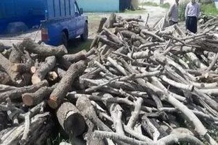 انهدام مخفیگاه قاچاقچیان چوب در بخش کجور استان مازندران