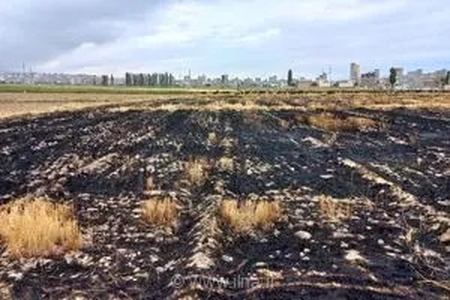 هشدار جدی جهاد کشاورزی اردبیل: سوزاندن بقایای گیاهی پس از برداشت محصول ممنوع و زیان‌بار است