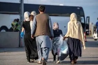 جریمه سنگین در انتظار کارفرمایان متخلف؛ شناسایی و معرفی ۹ تبعه غیرمجاز در بازرسی‌های کارگاهی استان اردبیل
