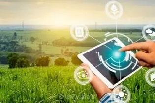 فعالیت ۳۷۷ هسته و واحد فناور در گلستان؛ هدف‌گذاری برای افزایش سهم دانش‌بنیان‌ها در اقتصاد استان