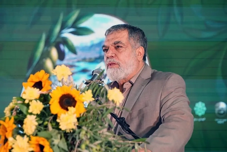 جشنواره زیتون طارم سفلی برای رونق تولید و گردشگری