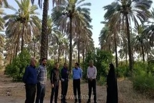 توسعه تحقیقات کشاورزی در جهرم با تمرکز بر تولید دانش فنی