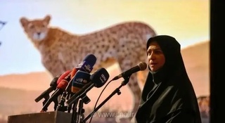 یوزپلنگ آسیایی؛ نماد مسئولیت‌پذیری انسان در برابر طبیعت
