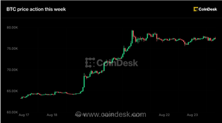 ثبات قیمت بیت‌کوین در محدوده ۷۷ هزار دلار؛ عقب‌نشینی XRP و Zcash پس از رالی صعودی هفتگی