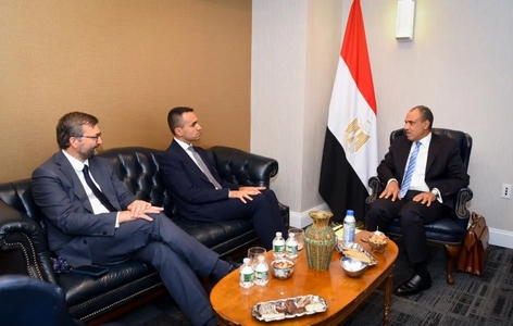 گفت‌وگوی وزیر خارجه مصر با نماینده ویژه اتحادیه اروپا درباره مسائل منطقه