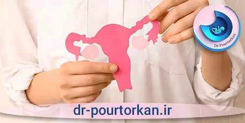 بهترین مرکز عکس رنگی رحم بدون درد و بیهوشی