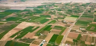تثبیت حدود ۵۲۰۰ هکتار از اراضی غیر ملی فارس در هفته دولت