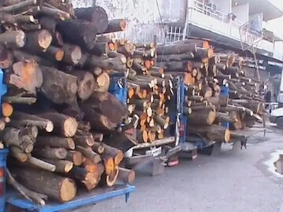 کشف بیش از ۳.۵ تن چوب جنگلی قاچاق در مازندران