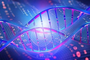 حافظه DNA با مصرف انرژی ۱۰۰ برابر کمتر توسط دانشمندان ساخته شد