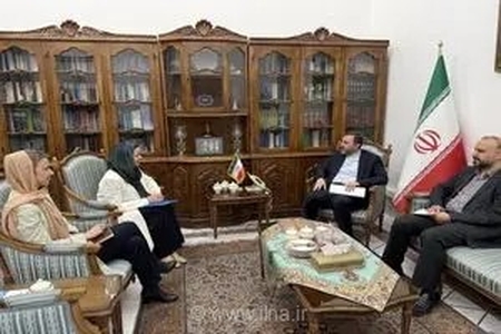 تأکید غریب‌آبادی بر بهره‌گیری از ظرفیت متخصصان ایرانی در دفاتر سازمان ملل متحد در تهران