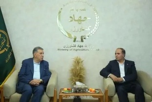 وزیر جهاد کشاورزی: بخش خصوصی می‌تواند بهره‌وری و نوآوری در اقتصاد را افزایش دهد