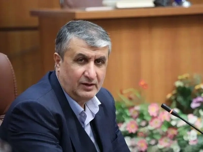 تسلیت رئیس سازمان انرژی اتمی به عراقچی در پی درگذشت خواهرش