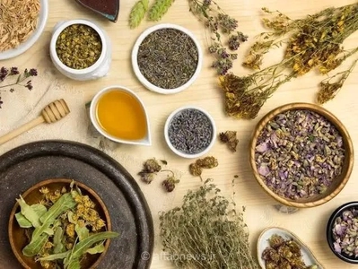 راهکارهای طلایی طب سنتی برای درمان یبوست؛ چگونه با اصلاح سبک زندگی از شر مشکلات گوارشی خلاص شویم؟
