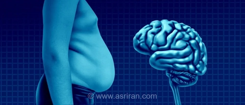 چاقی با مغز چه می‌کند؟ بررسی ۶ اثر مخرب اضافه وزن بر عملکرد و ساختار مغز انسان