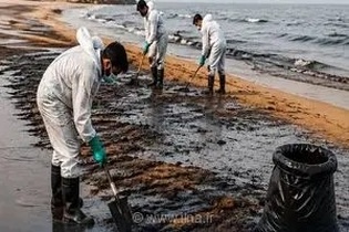 آلودگی نفتی در سواحل جزیره قشم؛ عملیات پاکسازی در مناطق آلوده آغاز شد
