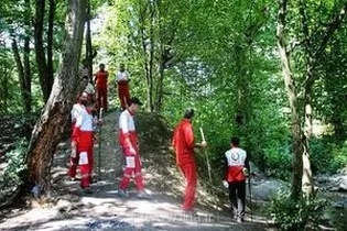 پنجمین روز جست‌وجو برای فرد گمشده در جنگل نیارق؛ تلاش‌ها همچنان ادامه دارد