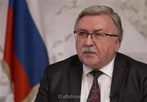 اولیانوف: حملات به نیروگاه بوشهر باید متوقف شود