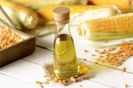 گیاهی که به دفع سنگ کلیه کمک می‌کند؛ فواید دارویی و درمانی بیشتر