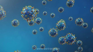 ریشه سرماخوردگی در گذشته جانوران: تکامل یک ویروس تنفسی