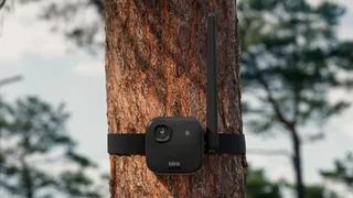 آمازون 5 دوربین جدید Blink معرفی کرد، مدل 4K توجه من را به خود جلب کرد