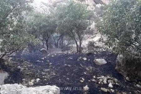 پایان عملیات نفس‌گیر در ارتفاعات سرکش؛ مهار کامل آتش‌سوزی با مشارکت نیروهای امدادی و مردم محلی گیلانغرب