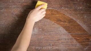 تصویری شگفت‌انگیز از گرد و غبار خانگی زیر میکروسکوپ الکترونی