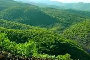 مدیریت ۴۶۰ هزار هکتار از عرصه‌های طبیعی لرستان توسط اداره کل حفاظت محیط زیست
