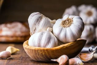 بررسی اثر عصاره سیر در درمان زگیل تناسلی ناشی از ویروس پاپیلومای انسانی