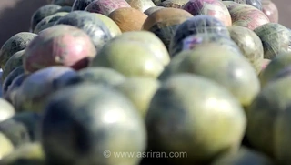 کشف بیش از یک تن مواد مخدر توسط مرزبانی فراجا