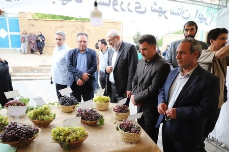 تلاش برای ثبت جهانی روستای درسجین همزمان با جشنواره انگور
