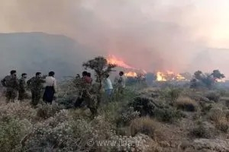 دستگیری عامل آتش‌سوزی عمدی جنگل‌های کمربندی ایلام
