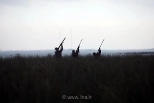 درگیری محیط‌بانان با شکارچیان در قروه کردستان؛ یک شکارچی مجروح شد