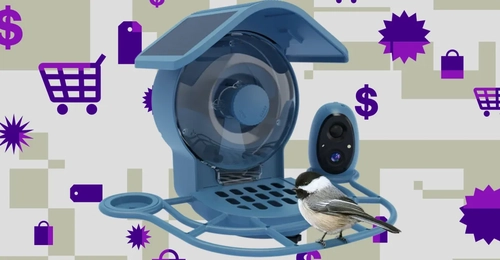 نصف‌قیمت فروش پرنده‌خوار هوشمند خورشیدی Coolfly Aura Smart Bird Feeder