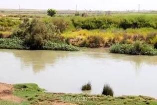 درخواست اهالی روستای عمله سیف برای توقف ساخت‌وسازهای غیرمجاز در حریم رودخانه شاوور