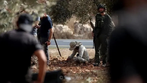 زخمی شدن دو فلسطینی در تیراندازی شهرک‌نشینان صهیونیست در کرانه باختری