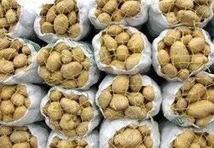 عرضه ۲۰ هزار تن سیب‌زمینی همدان برای تنظیم بازار