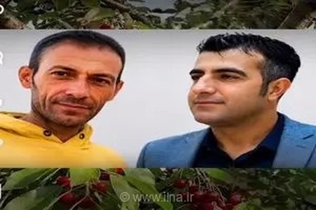 تکرار فاجعه در باغ‌های ارومیه؛ دومین کارگر میوه‌چین در یک هفته بر اثر سقوط از درخت جان باخت