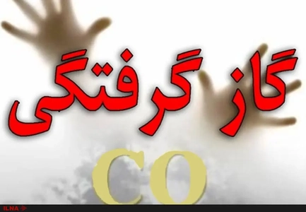 مسمومیت جوان ۲۷ ساله در نجف‌آباد به دلیل استفاده از پیک‌نیک