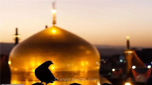 ظرفیت حرم مطهر رضوی تکمیل شد