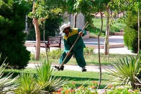کارگر فضای سبز شهرداری مهاباد در بلوار داشا مجید زیر خودروی پژو گرفتار شد؛ مصدومیت شدید دست و پا