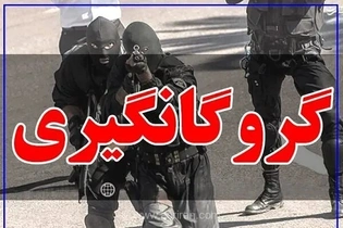 گروگانگیری در خیابان معروف تهران