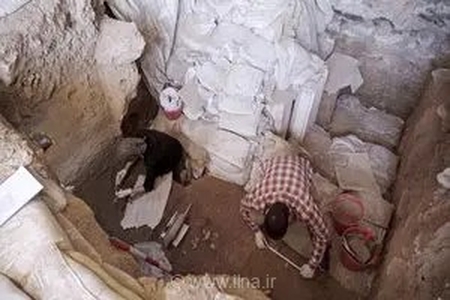 آغاز هفتمین فصل کاوش باستان‌شناسی در غار قلعه‌کرد آوج
