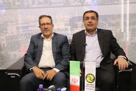 سرمایه‌گذاری هدفمند در فارس با محوریت تکمیل زنجیره‌های ارزش