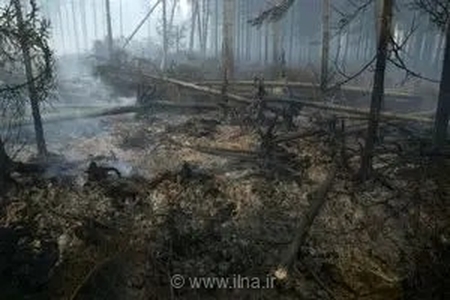 آتش‌سوزی گسترده در بلژیک ادامه دارد؛ تلاش برای مهار بزرگ‌ترین آتش‌سوزی جنگلی ثبت‌شده