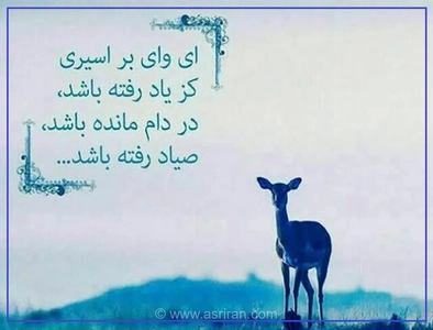 زمزمه‌های عاشقانه با حزین لاهیجی؛ مروری بر غزل ماندگار «ای وای بر اسیری کز یاد رفته باشد»