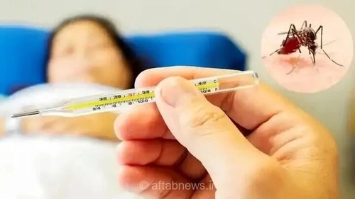 استقرار پشه آئدس در بخش وسیعی از شمال و جنوب کشور