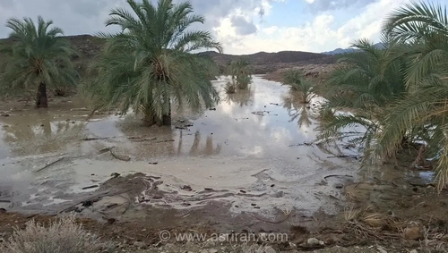 تاخت‌وتاز سامانه مونسون در سیستان و بلوچستان؛ ثبت بارش‌های سیل‌آسا و طوفان‌های شدید گردوخاک در جنوب شرق کشور