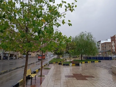 پیش‌بینی بارش پراکنده و افزایش نسبی دما در تهران از شنبه