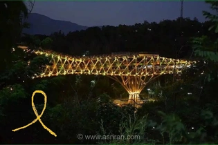 روشنایی طلایی پل طبیعت برای یادآوری اهمیت تشخیص زودهنگام سرطان کودکان